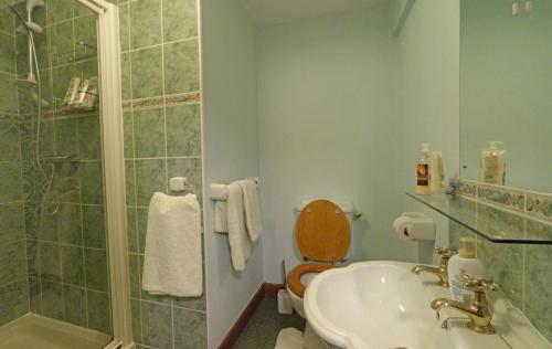 a bathroom with a toilet and a sink and a shower at Tref y Nant in Castle Caereinion