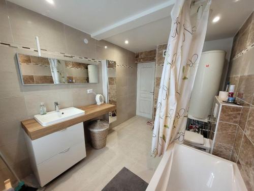 a bathroom with a sink and a tub and a shower at La Chambre Claire in Strasbourg