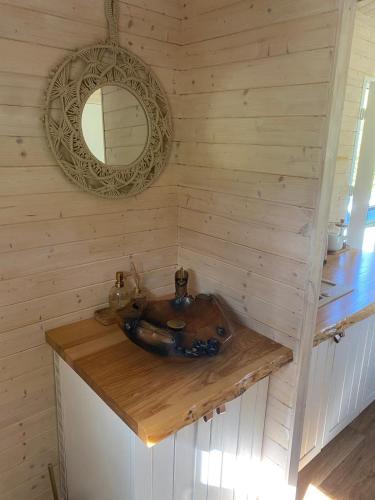 a bathroom with a sink in a wooden wall at Tinyhouse Cecilka in Ústí nad Orlicí