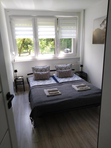 a bedroom with a bed with two pillows and two windows at MG Apartament Elfów in Tychy