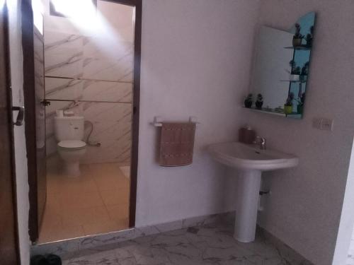 a bathroom with a sink and a shower and a toilet at Tigmi Nrayss in Essaouira