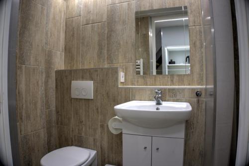 ブダペストにあるHILD-1 Apartmentsのバスルーム(洗面台、トイレ、鏡付)