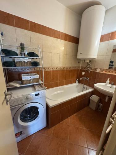 a bathroom with a washing machine and a sink at Magaslak in Balatonalmádi