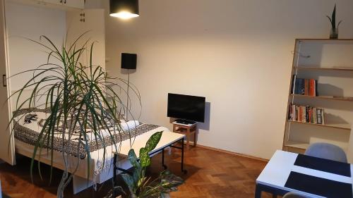 Cozy studio in the City centre near train station