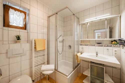 a bathroom with a shower and a sink and a toilet at Ferienappartement Donautal in Obernzell