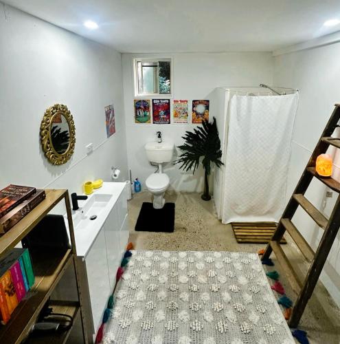 a bathroom with a toilet and a sink and a shower at Bellingen Disco Studio in Gleniffer