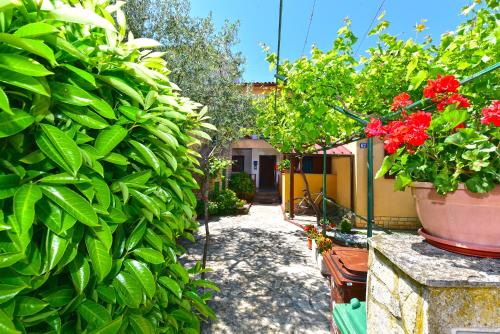 Apartments Dragan 2431