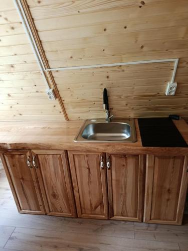 a kitchen with a sink in a tiny house at A-frame family in Prokurava