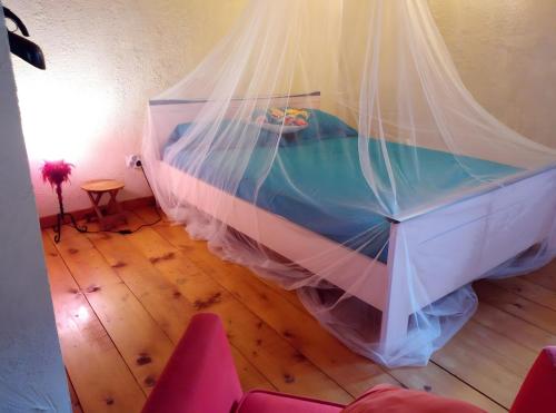 a bed with a mosquito net in a room at La Fée Du Val - Gite En Ardèche in Rosières