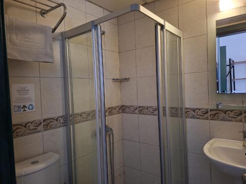 ein Badezimmer mit Dusche, Toilette und Waschbecken in der Unterkunft Avlu Hotel in Kemer