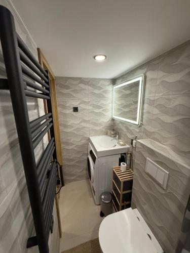 a small bathroom with a sink and a toilet at Grant City Loft in Kaunas