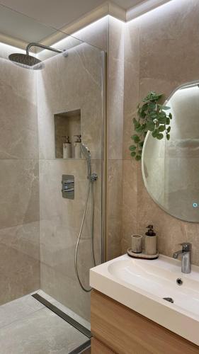 a bathroom with a shower and a sink and a mirror at Hyper centre ville de Reims avec parking in Reims