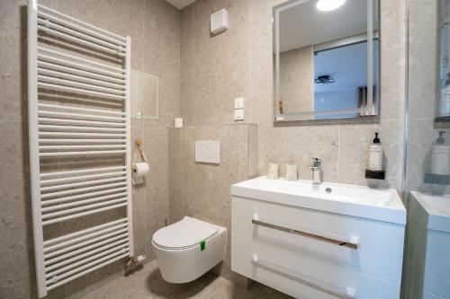 a bathroom with a sink and a toilet and a mirror at Apartma na Grad in Ptuj