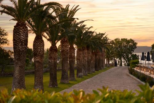 a row of palm trees lining a walkway at HOTEL BELLA VISTA in Mythimna