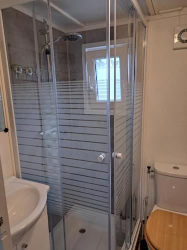a bathroom with a shower and a toilet and a sink at Camping de Zandhorst, Chalet Madera in Wouterswoude