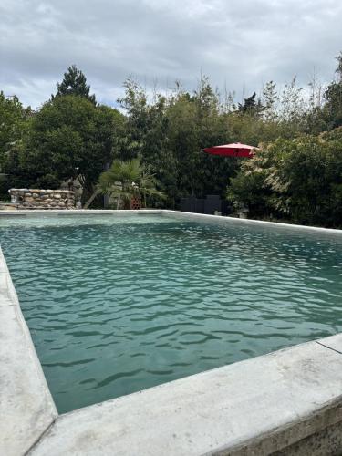 a swimming pool with green water in a yard at La Digeonne in Chabeuil