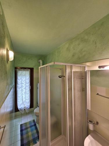 a bathroom with a shower and a toilet at Eco Mountain Green House in Bienno