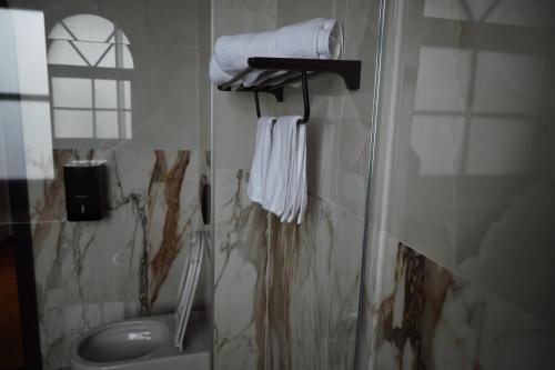 a bathroom with a shower and a sink and a toilet at Djordjevic Estate Winery in Lapovo