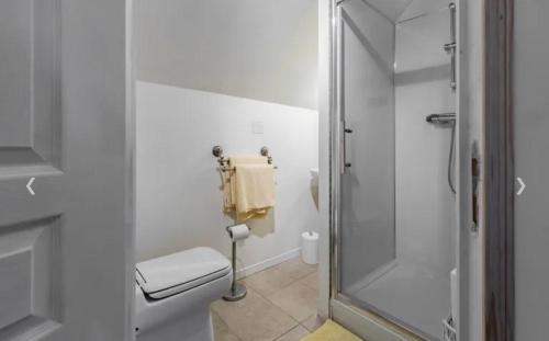 a white bathroom with a shower and a toilet at Manoir du Village in Irais