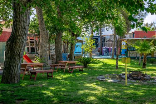 a park with picnic tables and trees and a playground at Hostel Lemon Tree in Ciudad Lujan de Cuyo