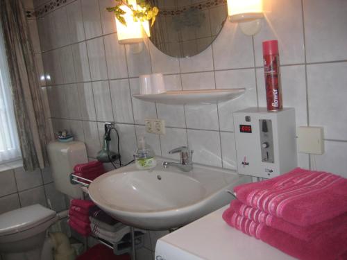 a bathroom with a sink and a toilet at Haus Bärbel in Barlt