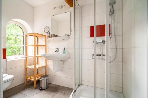 a bathroom with a shower and a sink and a toilet at Hotel Bolter Mühle - DZ Mohnbuchte in Rechlin