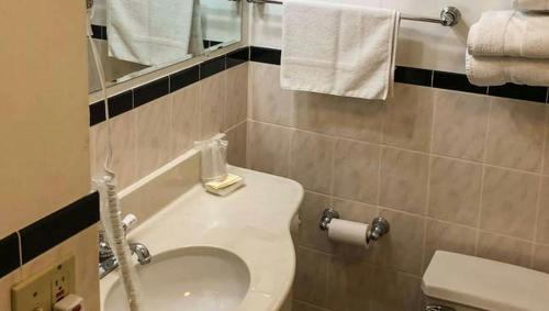 a bathroom with a white toilet and a sink at Pleasant Valley Motel West Stockbridge in West Stockbridge