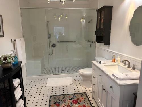 a bathroom with a shower and a toilet and a sink at Cozy Luxury Cottage in Alachua