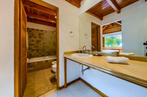 a bathroom with a sink and a toilet at Del Sauco Apart & Spa in San Martín de los Andes