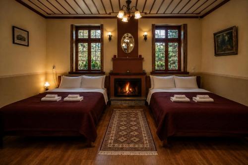 two beds in a room with a fireplace at Villa Georgia in Vitsa