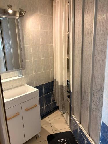 a small bathroom with a sink and a shower at Le Gite Zelya in Bourbourg