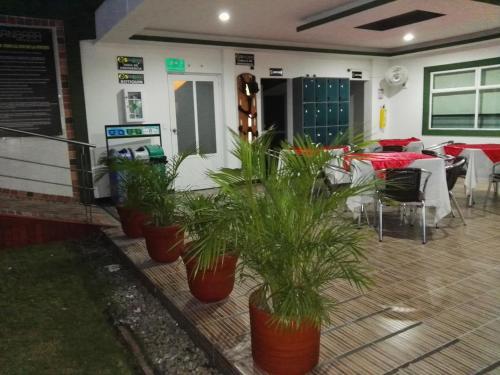 a restaurant with potted plants inront of a table at Gran Hotel Internacional Sanbara in Arauca