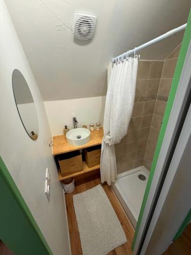 a small bathroom with a sink and a shower at Studio LS - Plage, falaise, Funiculaire, in Le Tréport