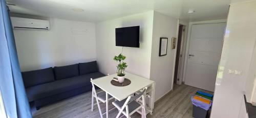 Penthouse Malaga