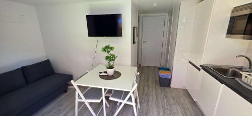 Penthouse Malaga