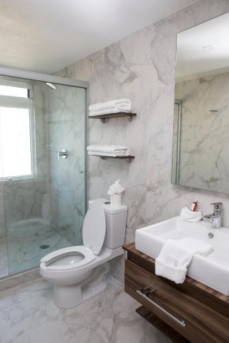 a bathroom with a toilet and a shower and a sink at Suites Rio Elba in Mexico City