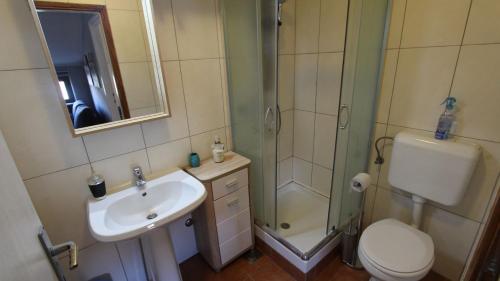 a bathroom with a shower and a toilet and a sink at Apartment Vdovjak in Malinska