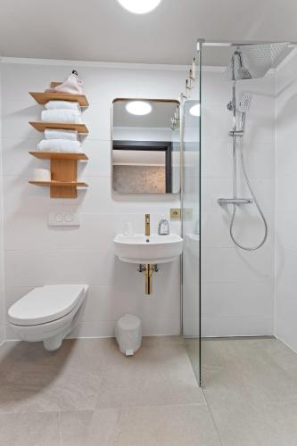 a bathroom with a toilet and a sink and a shower at Air Linz Residence in Linz