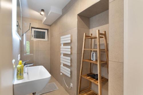 a bathroom with a sink and a toilet and a shelf at Haus Ersfeld – Gartenwohnung in Bad Teinach-Zavelstein