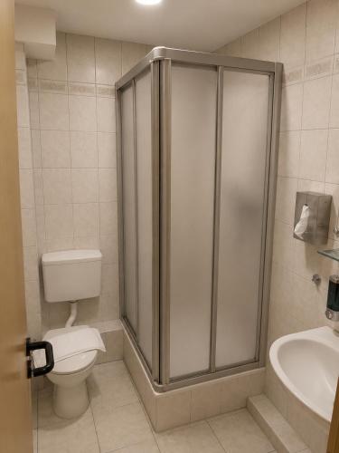 a bathroom with a shower and a toilet and a sink at Hotel Eurocity in Bruchköbel