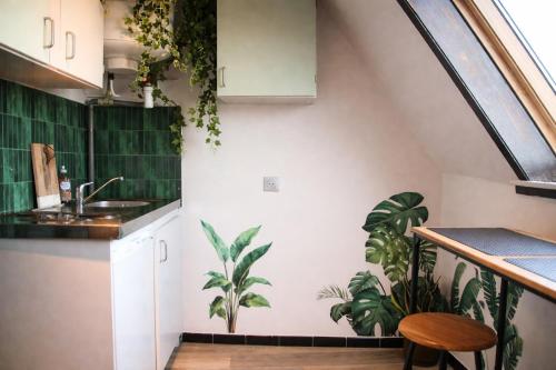 a kitchen with a sink and some plants in it at L'Atelier de Tropique in Saverne