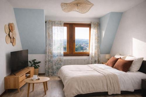 a bedroom with a bed and a television and a window at L'Atelier de Tropique in Saverne