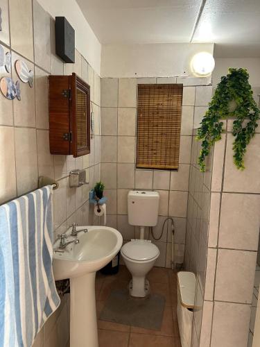 a bathroom with a white toilet and a sink at Retro at The Vaal - entire Flat in Denysville