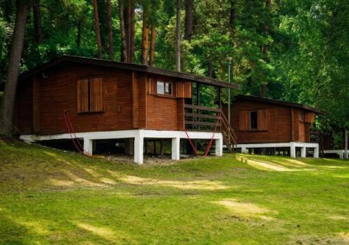 a log cabin in the middle of a forest at Domki Dębrzyno in Juszki