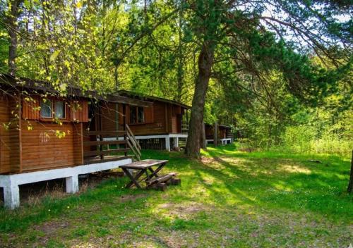 a log cabin with a picnic table in front of it at Domki Dębrzyno in Juszki