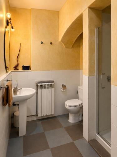 a bathroom with a toilet and a sink and a shower at Apartamentos Saltarel·lo in Besalú