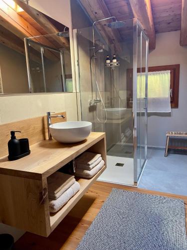 a bathroom with a sink and a glass shower at CasAle 1896 in Cavaso del Tomba