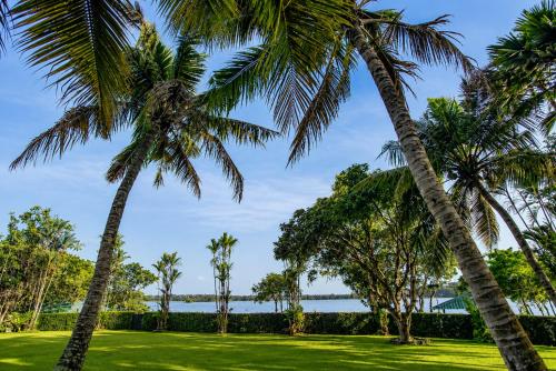 a group of palm trees on a lawn with the ocean in the background at Serenity Lake Front Villa in Moratuwa