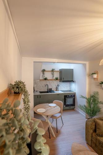L écrin Vert Duplex cosy Hypercentre Rouen
