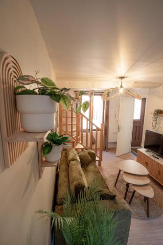 L écrin Vert Duplex cosy Hypercentre Rouen